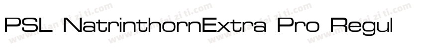 PSL NatrinthornExtra Pro Regular字体转换